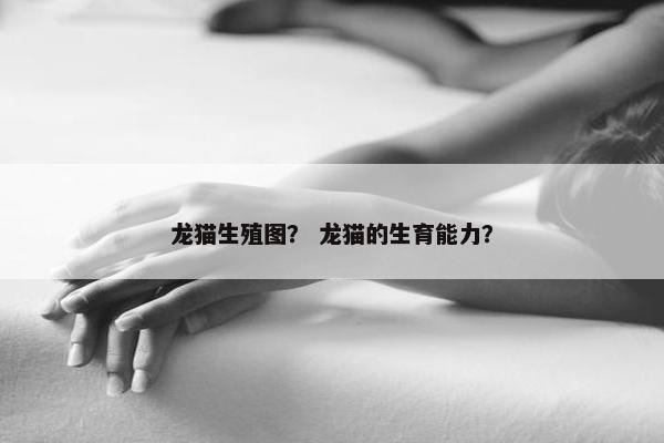 龙猫生殖图？ 龙猫的生育能力？