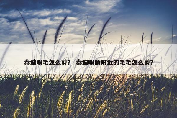 泰迪眼毛怎么剪？ 泰迪眼睛附近的毛毛怎么剪？