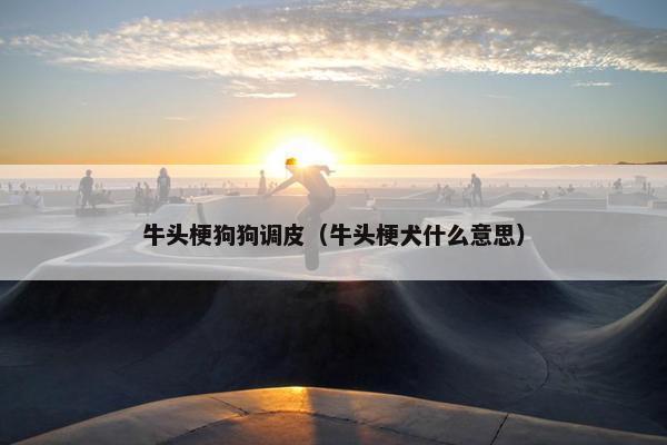 牛头梗狗狗调皮（牛头梗犬什么意思）