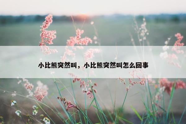 小比熊突然叫，小比熊突然叫怎么回事