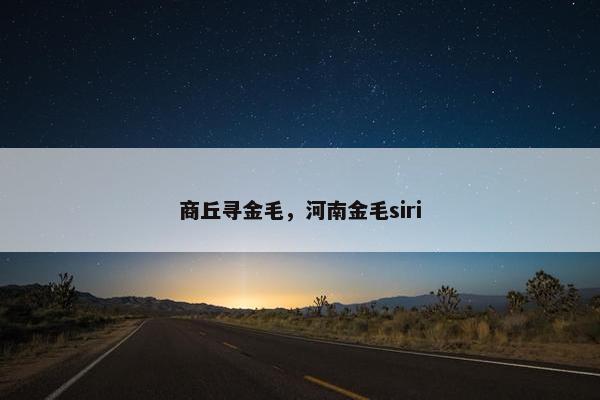 商丘寻金毛，河南金毛siri
