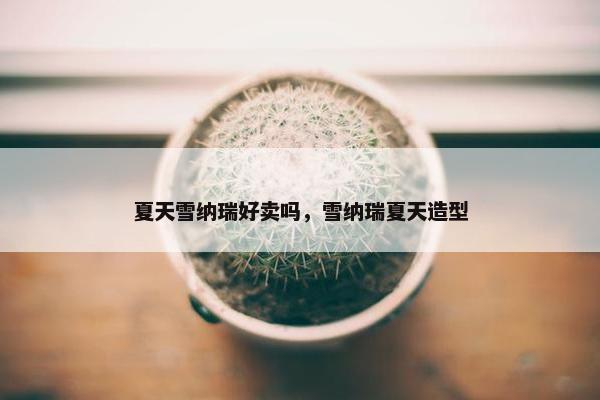 夏天雪纳瑞好卖吗，雪纳瑞夏天造型