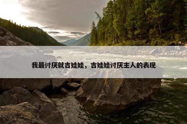 我最讨厌就吉娃娃，吉娃娃讨厌主人的表现