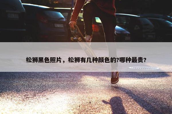 松狮黑色照片，松狮有几种颜色的?哪种最贵?
