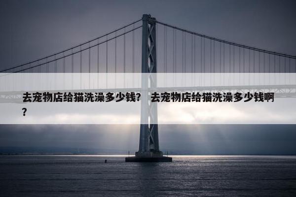 去宠物店给猫洗澡多少钱？ 去宠物店给猫洗澡多少钱啊？