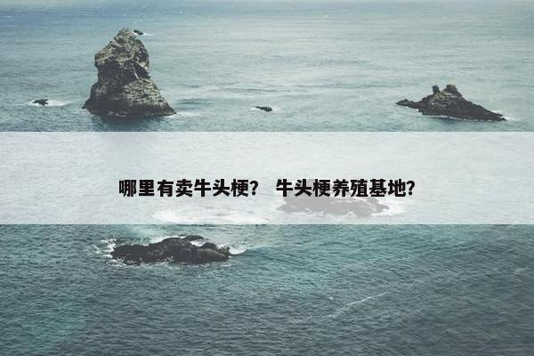 哪里有卖牛头梗？ 牛头梗养殖基地？