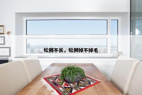 松狮不长，松狮掉不掉毛