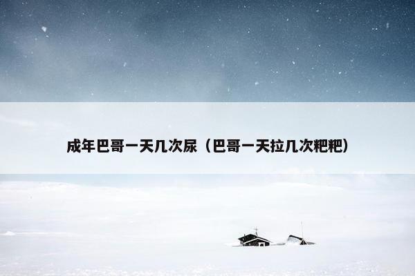 成年巴哥一天几次尿（巴哥一天拉几次粑粑）