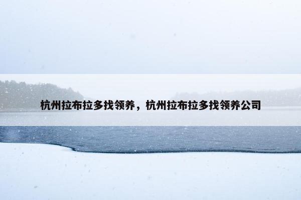 杭州拉布拉多找领养，杭州拉布拉多找领养公司