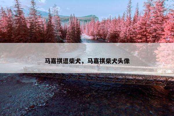 马嘉祺逗柴犬，马嘉祺柴犬头像