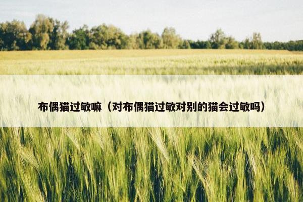 布偶猫过敏嘛（对布偶猫过敏对别的猫会过敏吗）