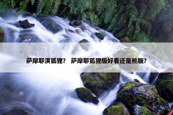 萨摩耶演狐狸？ 萨摩耶狐狸版好看还是熊版？