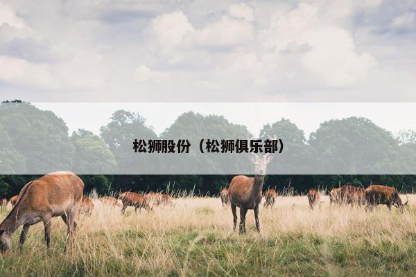 松狮股份（松狮俱乐部）