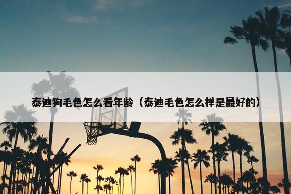 泰迪狗毛色怎么看年龄（泰迪毛色怎么样是最好的）