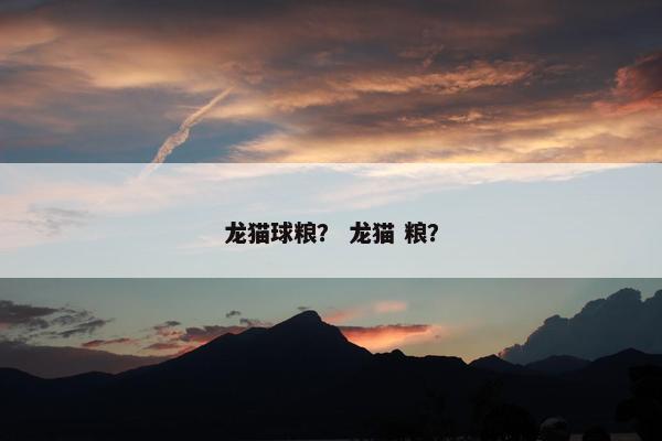 龙猫球粮？ 龙猫 粮？