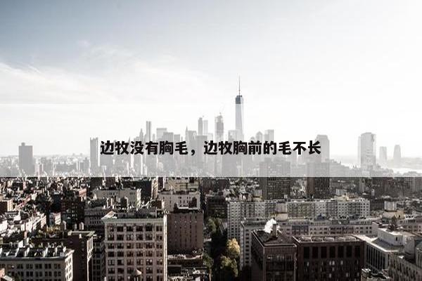边牧没有胸毛，边牧胸前的毛不长