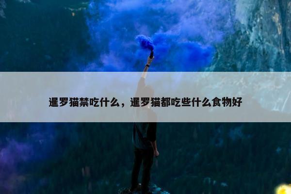 暹罗猫禁吃什么，暹罗猫都吃些什么食物好