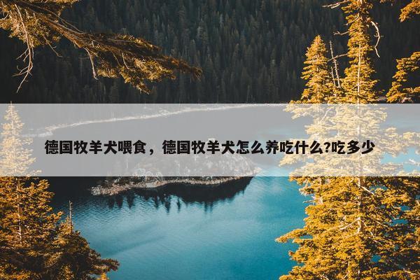 德国牧羊犬喂食，德国牧羊犬怎么养吃什么?吃多少