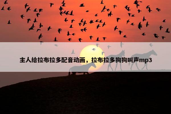 主人给拉布拉多配音动画，拉布拉多狗狗叫声mp3