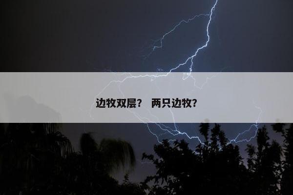 边牧双层？ 两只边牧？