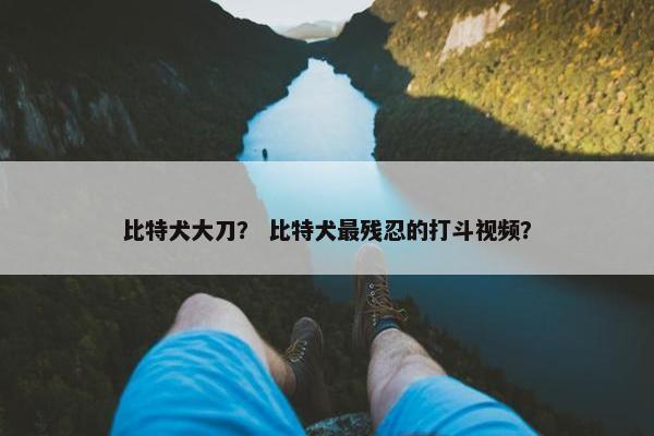比特犬大刀？ 比特犬最残忍的打斗视频？