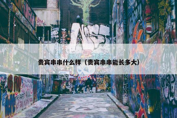 贵宾串串什么样（贵宾串串能长多大）