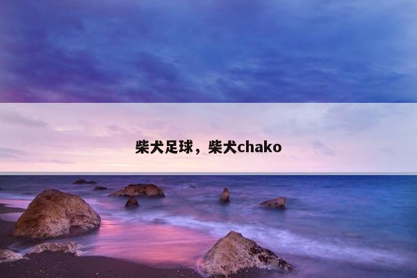柴犬足球，柴犬chako