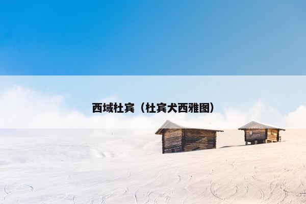 西域杜宾（杜宾犬西雅图）