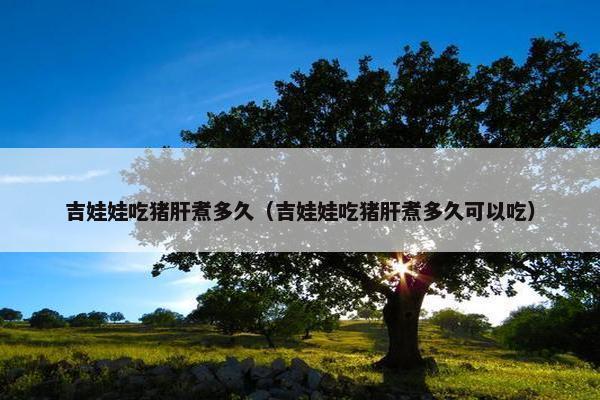 吉娃娃吃猪肝煮多久（吉娃娃吃猪肝煮多久可以吃）