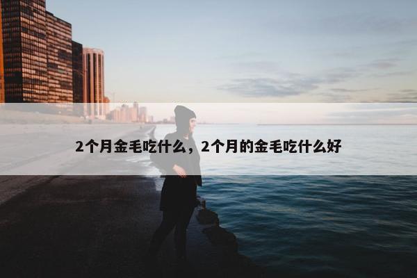 2个月金毛吃什么，2个月的金毛吃什么好