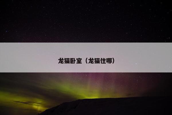 龙猫卧室（龙猫住哪）