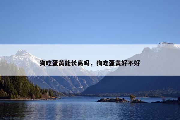 狗吃蛋黄能长高吗，狗吃蛋黄好不好