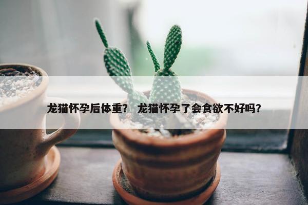 龙猫怀孕后体重？ 龙猫怀孕了会食欲不好吗？