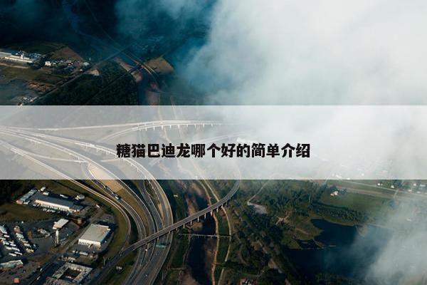 糖猫巴迪龙哪个好的简单介绍