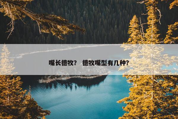 嘴长德牧？ 德牧嘴型有几种？
