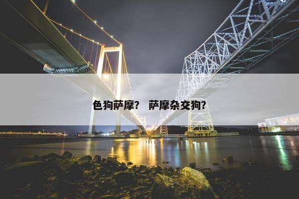 色狗萨摩？ 萨摩杂交狗？
