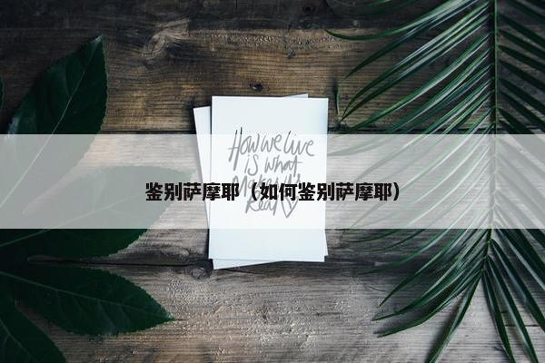 鉴别萨摩耶（如何鉴别萨摩耶）