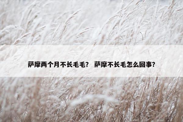 萨摩两个月不长毛毛？ 萨摩不长毛怎么回事？