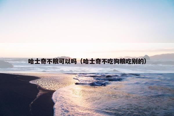 哈士奇不粮可以吗（哈士奇不吃狗粮吃别的）