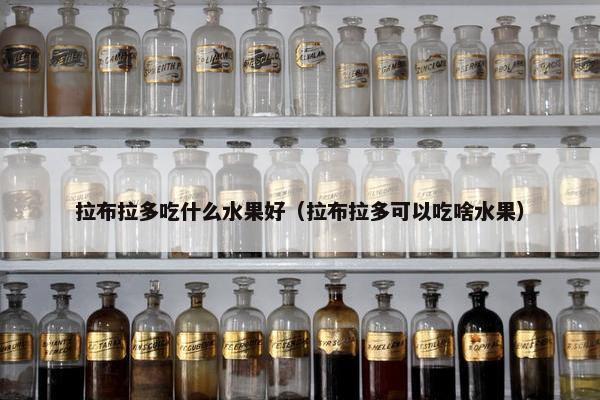 拉布拉多吃什么水果好（拉布拉多可以吃啥水果）