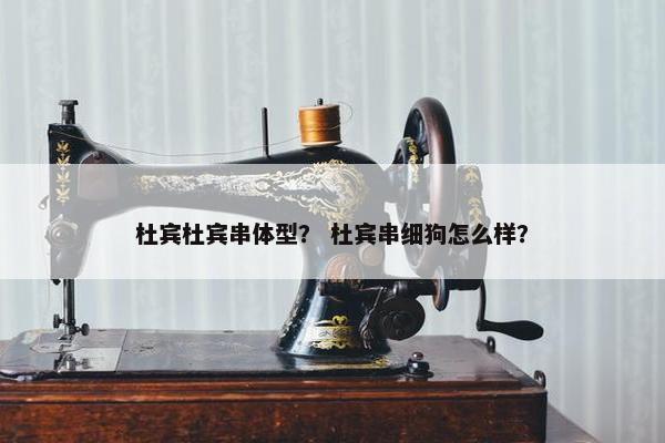 杜宾杜宾串体型？ 杜宾串细狗怎么样？