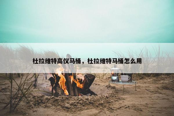 杜拉维特高仪马桶，杜拉维特马桶怎么用