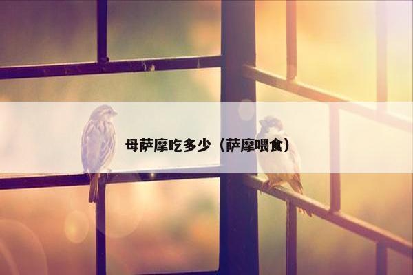 母萨摩吃多少（萨摩喂食）