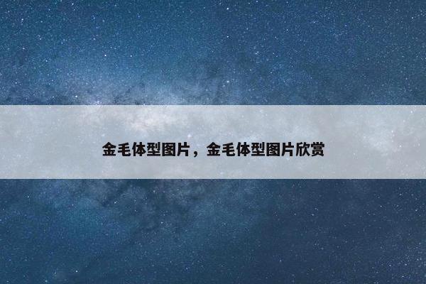 金毛体型图片，金毛体型图片欣赏