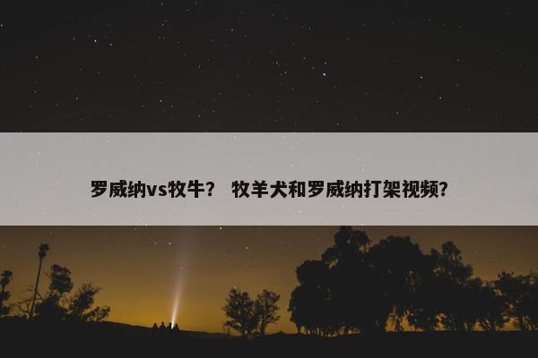 罗威纳vs牧牛？ 牧羊犬和罗威纳打架视频？