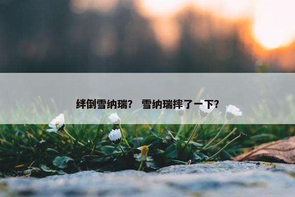 绊倒雪纳瑞？ 雪纳瑞摔了一下？