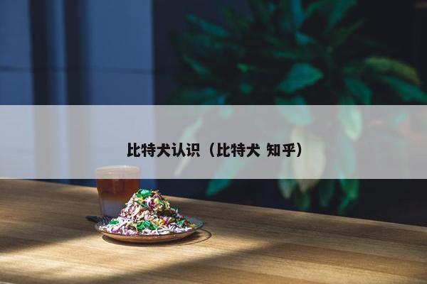 比特犬认识（比特犬 知乎）