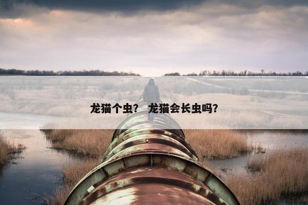 龙猫个虫？ 龙猫会长虫吗？
