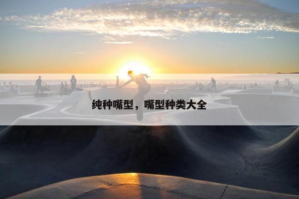 纯种嘴型，嘴型种类大全