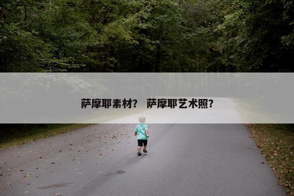 萨摩耶素材？ 萨摩耶艺术照？